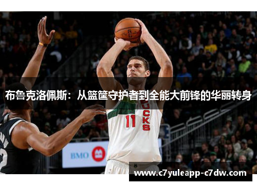 布鲁克洛佩斯：从篮筐守护者到全能大前锋的华丽转身